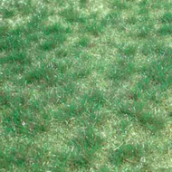 Heki 1843 - Herbes sauvages vertes de terrain marécageux 45 x 17 cm