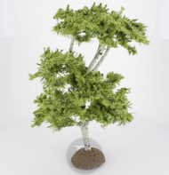 Bouleaux 29 cm - FR 29152