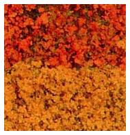 Heki 1568 - Flocage d'arbres et buissons. Sac de 200 ml. Feuillage automne