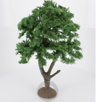 Platane 28 cm - FR 29125