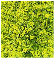 Heki 1560 - Flocage d'arbres et buissons. Sac de 200 ml. Feuillage vert clair