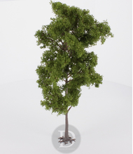 Heki 1760 - Assortiment de 6 arbres miniatures 18 cm