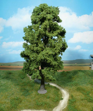 Végétation miniature : Heki 1943 - 1 érable 35 cm