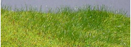 Noch 60130 - LOCATION Pulvérisateur herbe ou "grasmaster"