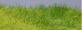 Noch 60130 - LOCATION Pulvérisateur herbe ou "grasmaster"