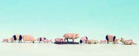 Noch 36712 - Cochons 1:160