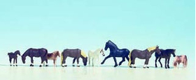 Noch 36761 - Chevaux 1:160