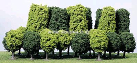 Heki 1321 - 24 arbres feuillus 5 - 15 cm