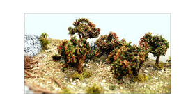 FR-ATB/43593P - 10 pieds de vignes automnes 4 cm