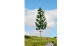 Sapin miniature : Epicéa à haute tige 23 cm - Noch 20197