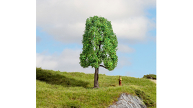 Végétation miniature : Frênes 13 cm - 1:87, 1:120, 1:160 - Noch 20101