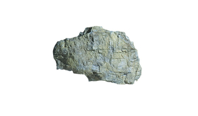 Moules pour rochers Paroi de rocher - Woodland C1240