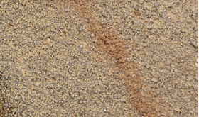 Gravier Fin - Woodland C1288
