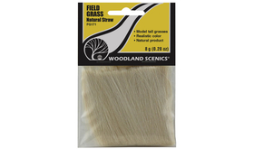 Champ d'herbes hautes naturelles - Woodland FG171