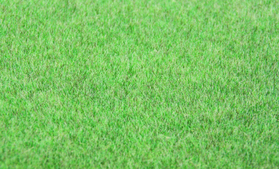 Heki 33542 - Fibre verte  5-6 mm 75g