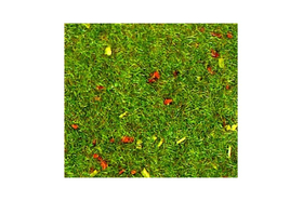 Heki 30801 - 2 tapis prairie 40 X 25 cm x 1 mm