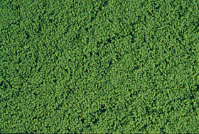 Heki 1611 - Micro Feuillage vert moyen 200 ml