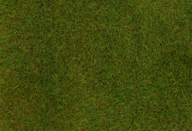 Végétation miniature : Fibres de flocage PREMIUM, Prairie de printemps, 6 mm, 30 g - Faller 170771