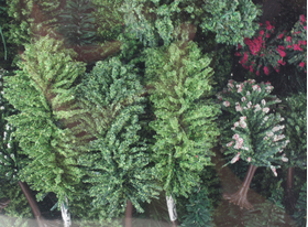 JORD-4A - 50 sapins miniatures et arbres 3-12 cm 1:87, HO
