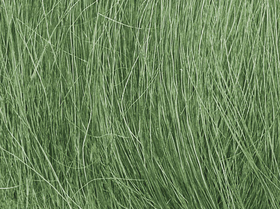 Champ d'herbes hautes vert moyen - Woodland FG174