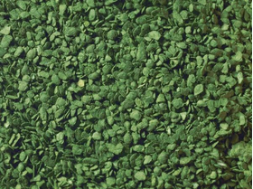 Végétation miniature : Set de feuillage vert - Noch-7167