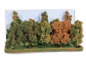 Heki 2000 : 10 arbres d'automne 10 - 14 cm