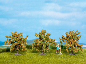 Noch 25114 - Orangers 4 cm