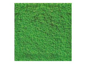 Noch 7241 - Flocage, vert clair