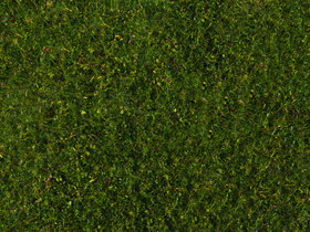 Végétation miniature : Flocage vert moyen 20 x 23 cm - Noch 07291