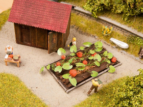 Légumes miniatures : 8 plants de citrouille 3 cm x 6 cm - 1/87 HO - Noch 13219