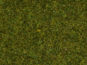 Végétation miniature : Herbes pré - Noch 8152