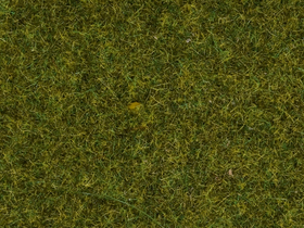 Végétation miniature : Herbe sauvage "Prairie" - 0, HO, TT - Noch 07117 7117 - diorama.fr