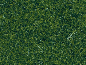Végétation miniature : Herbes sauvages vertes foncées - Noch 07120 7120