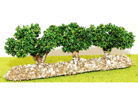 3 rangées de vignes vertes