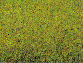 Tapis d'herbe été 120 x 60 cm - Noch 00280