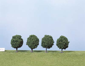 Heki 1030 - 4 platanes foncés 6-7 cm