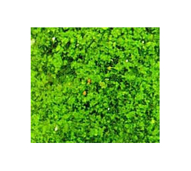 Heki 1564 - Flocage d'arbres et buissons. Sac de 200 ml. Feuillage vert