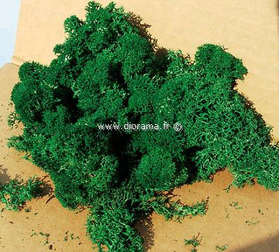 Végétation naturelle : Lichen vert foncé - mousse d'Islande - Heki 3211