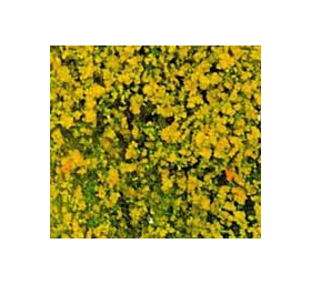 Heki 1566 - Flocage d'arbres et buissons. Sac de 200 ml. Feuillage automne
