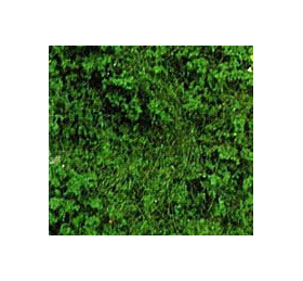 Heki 1563 - Flocage d'arbres et buissons. Sac de 200 ml. Feuillage vert