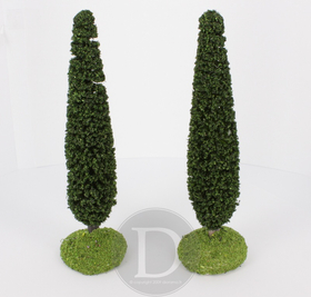 2 Cyprès de provence 15 cm pour crèches provençales - FR-ATB/61690
