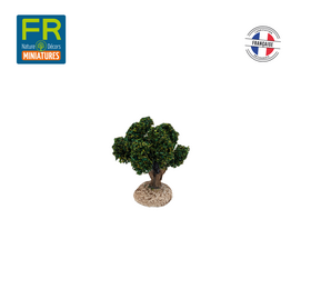 FR-ATB/42593P - 10 pieds de vignes vertes 4 cm