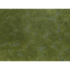 Végétation miniature : Feuillage couvre sol, vert foncé - Noch 07252