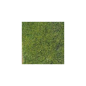 Heki 1570 - Feuillage vert "artline"