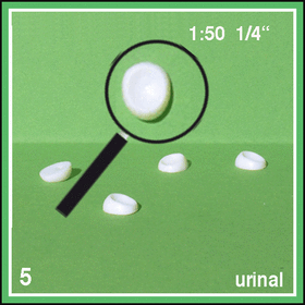 Urinoirs  1:50