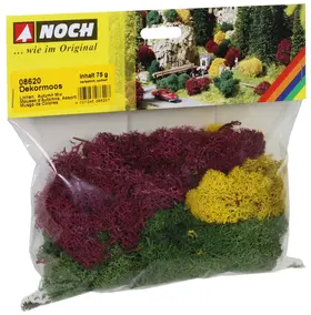Végétation miniature : Lichen automne 75 g - Noch 8620 08620