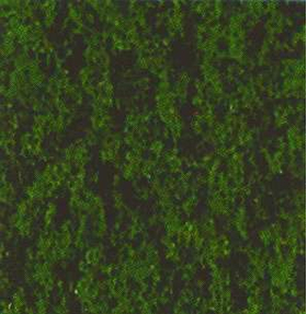 Heki 1562 - Flocage d'arbres et buissons.