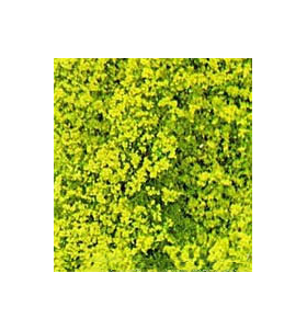 Heki 1560 - Flocage d'arbres et buissons. Sac de 200 ml. Feuillage vert clair