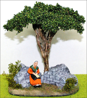 Décors crèche et pin parasol