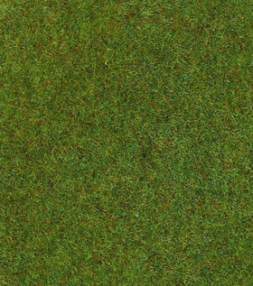 Vert foncé